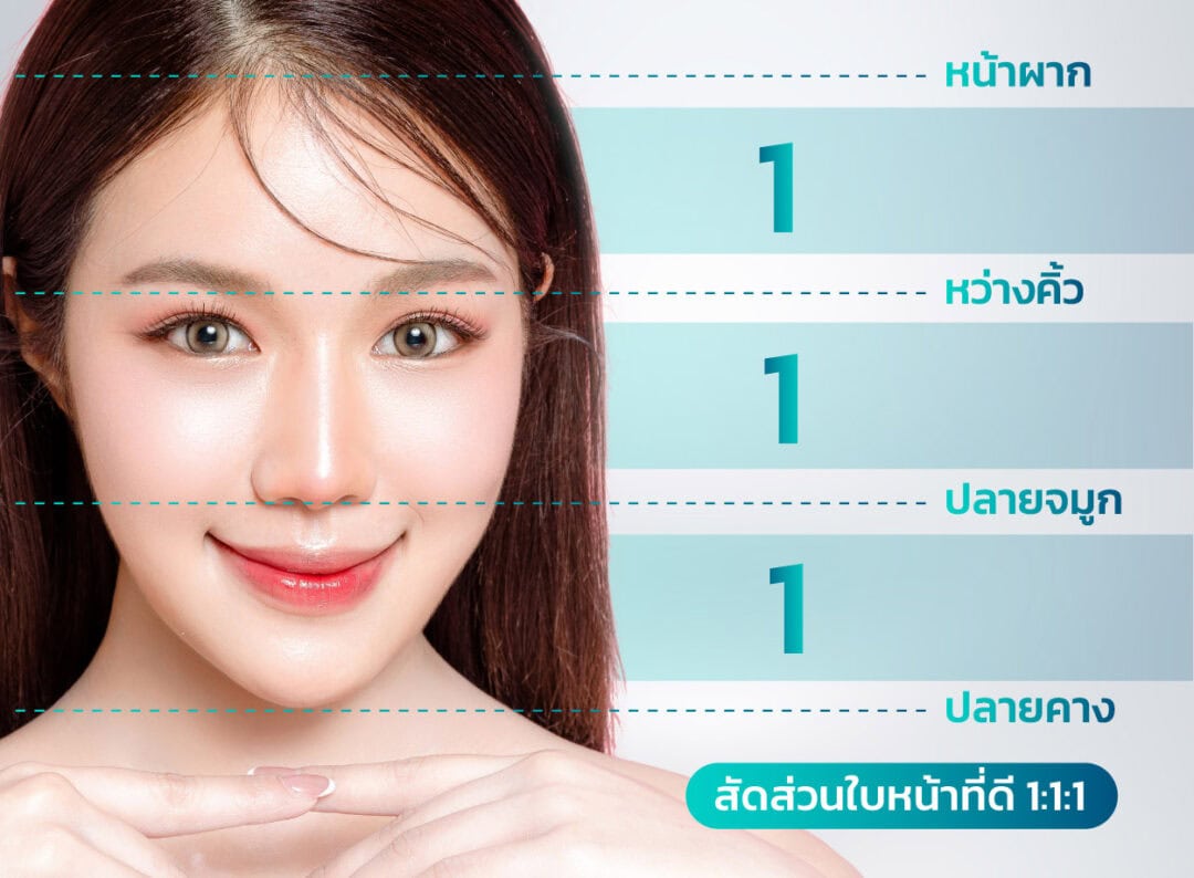 สัดส่วนใบหน้า
