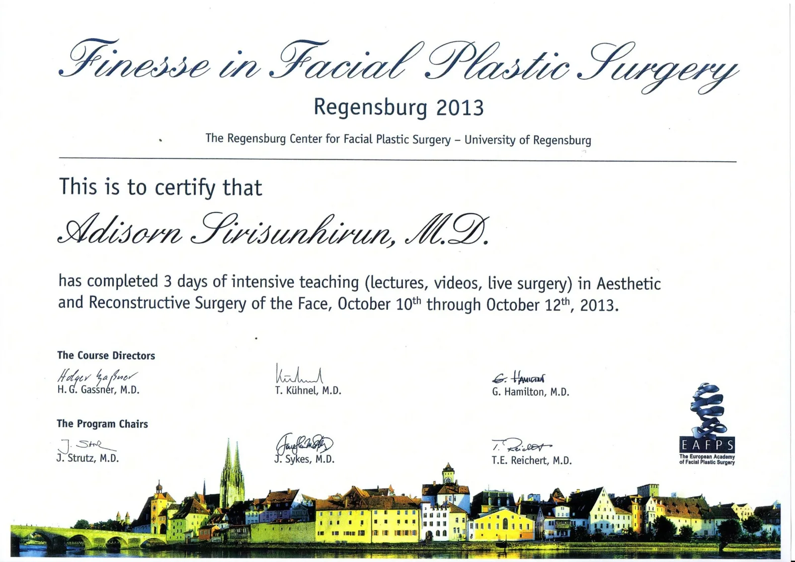 การอบรม Finesse in Facial Plastic Surgery มหาวิทยาลัย Regensburg ประเทศเยอรมนี วันที่ 10 ถึง 12 ตุลาคม 2556